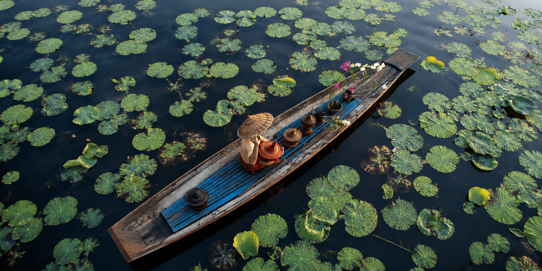 Traditional wooden boat crossing a pond filled with lotus leaves